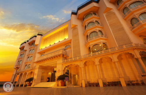 GOLDEN TULIP