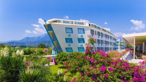 daima biz hotel