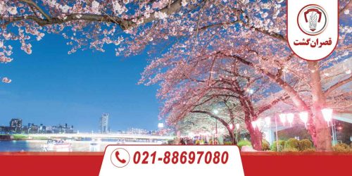 تور توکیو 32 توکیو-ژاپن