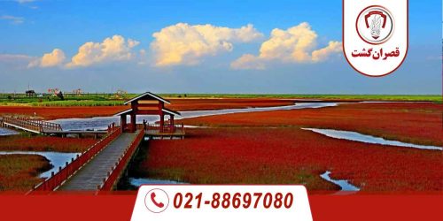 ساحل سرخ در چین؛ زمین خونآلود 196 ساحل سرخ چین